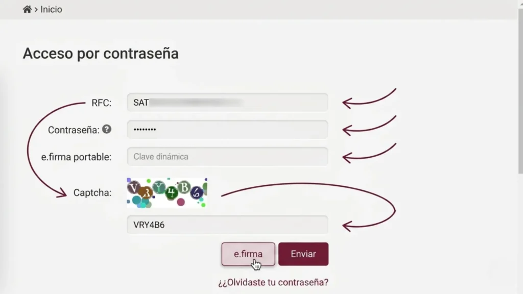 Paso 4: Inicia sesión Usa tu contraseña del SAT o tu e.firma y haz clic en "Continuar".