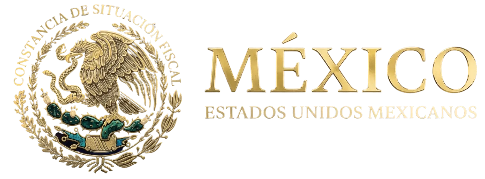 Constancia De Situacion Fiscal